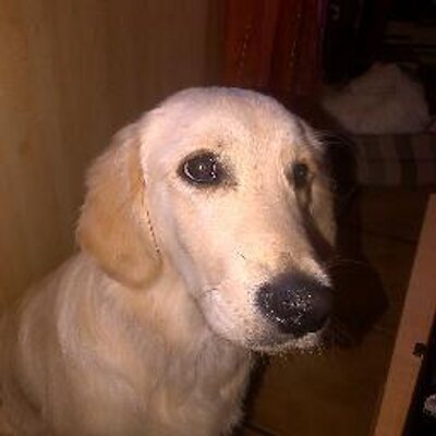 Profile Picture of Valade Cathy (@CathyValade) on Twitter