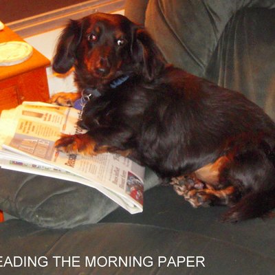 Profile Picture of Paul Hagler (@RVingPaul) on Twitter