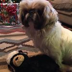 Profile Picture of Pamela Gene Whiting (@pamela.g.whiting) on Instagram