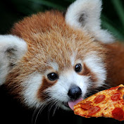 Profile Picture of Kennedy Neal (@kennedyneal1946) on Youtube