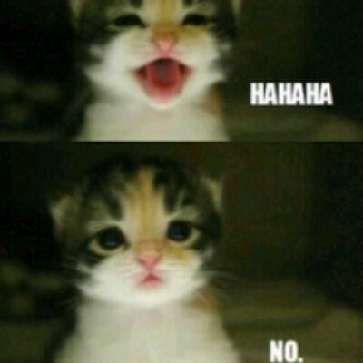 Profile Picture of Jordyn  Roberts (@jordynjelly) on Twitter