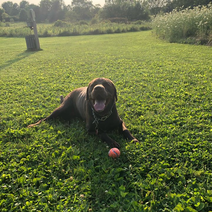 Profile Picture of Gary Northup (@garynorthup) on Tiktok