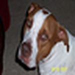 Profile Picture of Lisa Montoya (@l.montoya@sbcglobal.net) on Flickr