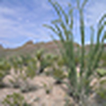 Profile Picture of Superhomer67 (@superhomer67) on Flickr