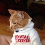 Profile Picture of Lillian Kehoe (@lckehoe513) on Instagram