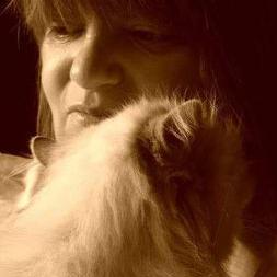 Profile Picture of Lorraine Marshall (@StuffWhite) on Twitter