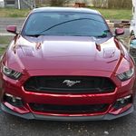 Profile Picture of Chris-Julie Marble (@chrisjuliemarble) on Instagram