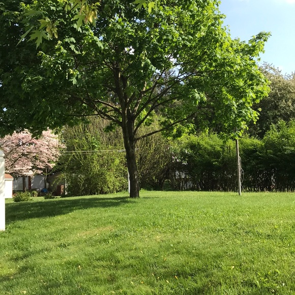 Profile Picture of Snowbun0269 Snowbun0269 (@snowbun0269) on Poshmark