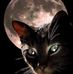 Profile Picture of Sandra Buffa (@sandra.buffa.129) on Facebook