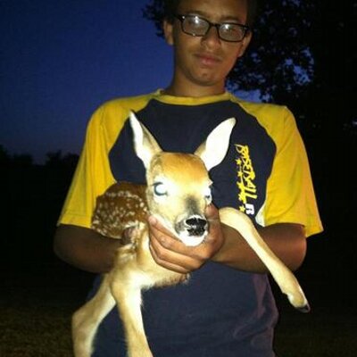 Dylan - Twitter Profile Picture of Dylan (@DylanBear123) on Twitter