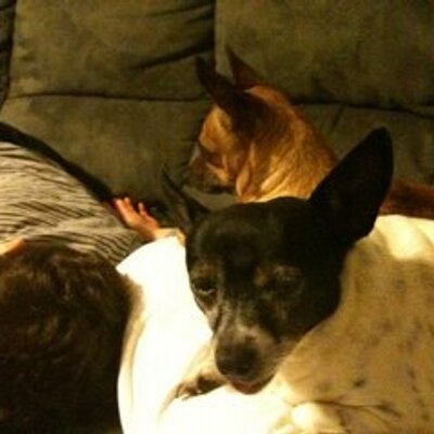 Profile Picture of Tracie Dillon (@dillon_tracie) on Twitter