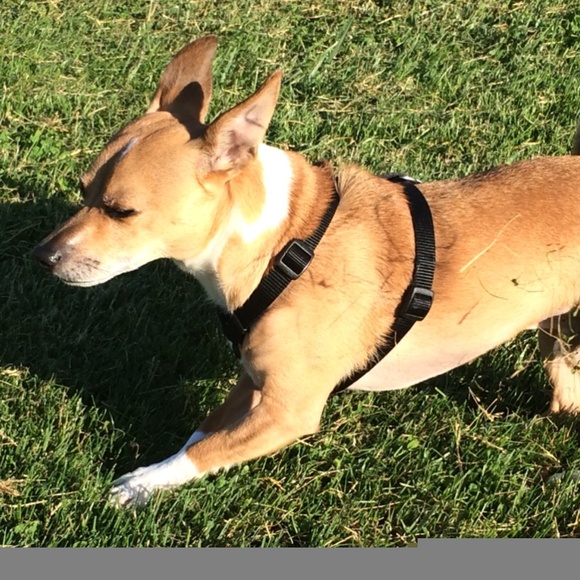 Profile Picture of Amber Kamide (@akay33) on Poshmark