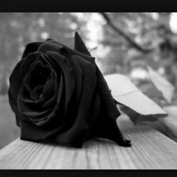 Profile Picture of Jon Hernandez (@jonhernandez282) on Poshmark