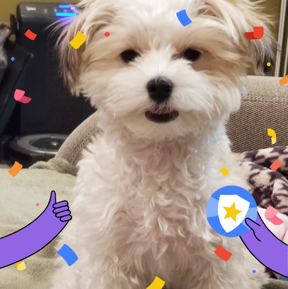 Profile Picture of Anne Futterer (@amf099) on Poshmark