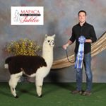 Profile Picture of Brandon Sigler (@bsigler1010) on Instagram