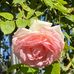 Profile Picture of Annemarie Zürcher (@profile.php) on Facebook