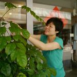 Profile Picture of 劉均怡(小馬) Ginny Liu (@ginnylge) on Instagram