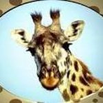 Profile Picture of David McHardy (@mchardydavid) on Instagram