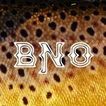 Profile Picture of Brandon Nutt Outdoors (@brandonnuttoutdoors) on Instagram