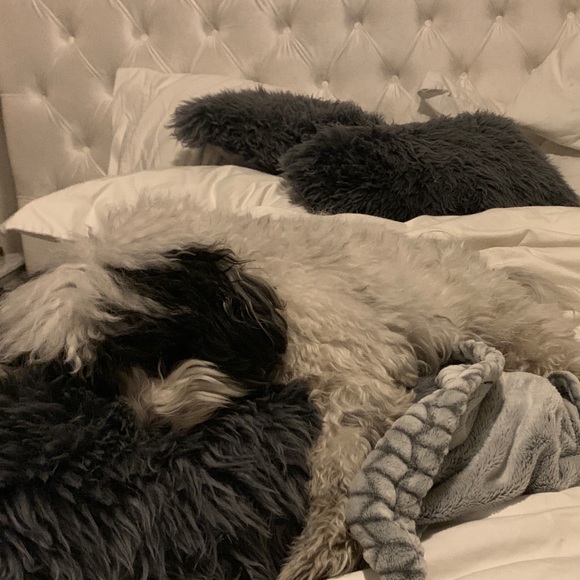 Profile Picture of Sophia Nappo (@sophianappo) on Poshmark