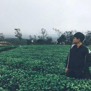 Profile Picture of Jason Hua (@HuaJasone) on Twitter