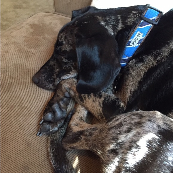 Profile Picture of Amanda Warning (@warning1656) on Poshmark