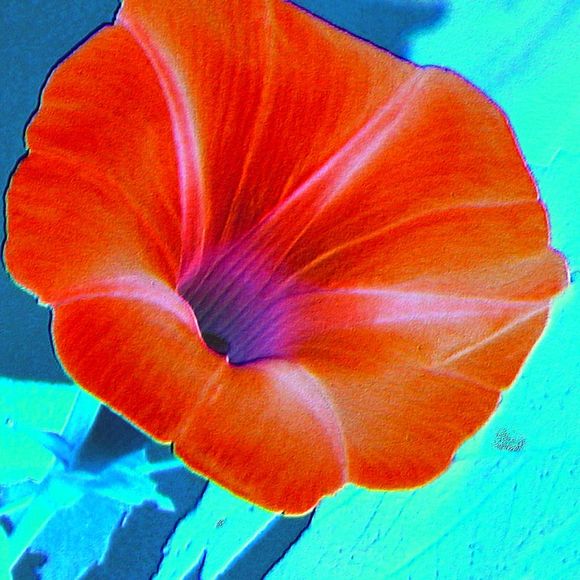 Felicia Moliengo - Poshmark Profile Picture of Felicia Moliengo (@feeshamay) on Poshmark