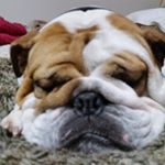 Profile Picture of Drew Ashby (@dashby70) on Instagram