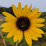 Profile Picture of Craig Pruett (@craig.pruett.52) on Facebook