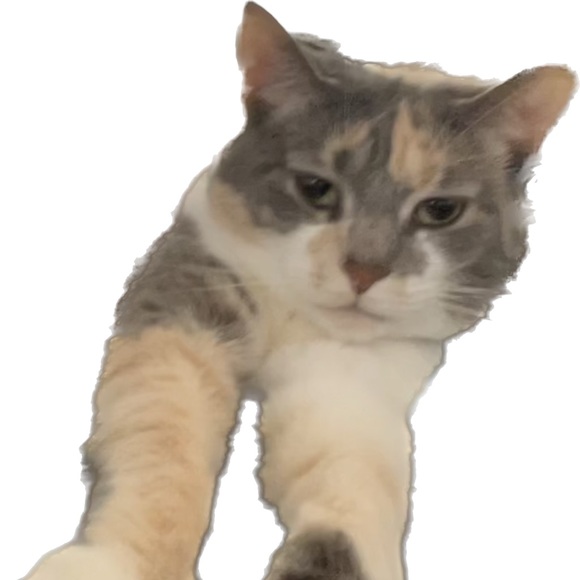 Jenna Claire - Poshmark Profile Picture of Jenna Claire (@jennavange) on Poshmark