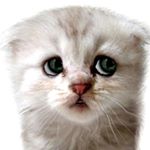 Profile Picture of narendrakumar patel (@narendrak6333) on Instagram