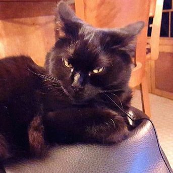 Profile Picture of Brian Zeise (@BSportnutZ11) on Twitter