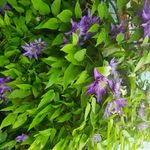 Анна Добрикова - Instagram Profile Picture of Анна Добрикова (@dobrikova1085) on Instagram