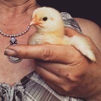 Profile Picture of Paula Robertson (@paula-robertson-4) on Quora