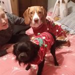 Profile Picture of Nicole Bollinger Bauser (@nicole_bauser77) on Instagram