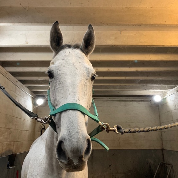 Profile Picture of Rylie Heusner (@rylieh1104) on Poshmark