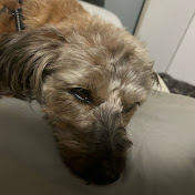 Profile Picture of Edward Kern (@Edward_Kern) on Youtube