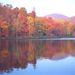 Profile Picture of Anne Womack (@womacah) on Pinterest