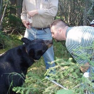 Profile Picture of George Hartford (@275071427) on Myspace