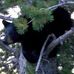 Profile Picture of Matt Waggoner (@matt.waggoner.524) on Facebook