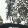 Profile Picture of Benjamin McCormack (@@benjaminmccormack) on Tiktok