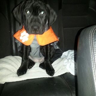 Profile Picture of Steve Karlsson (@Steve-Karlsson) on Facebook