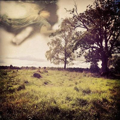 Profile Picture of Nancy Case (@wordywhitedo13) on Twitter