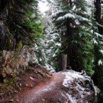 Profile Picture of Ronel (@ronelalfearn9b) on Instagram