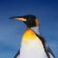 Profile Picture of Jonathan Rykkja Ibsen (@jonathan-rykkja-ibsen-1) on Quora