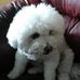 Profile Picture of Doris Treece (@doris.treece.9) on Facebook
