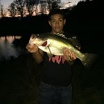 Profile Picture of craig franklin (@buzzbaitfanaticfishing) on Instagram