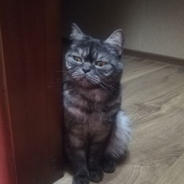 Profile Picture of AlexanderCrowley (@AlexanderCrowl9) on Twitter