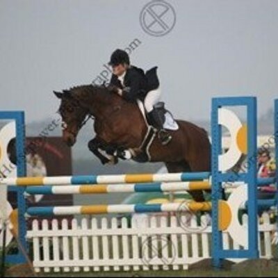 Profile Picture of Springfield Eventing (@Carmen_Lawrence) on Twitter
