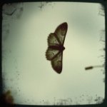 Profile Picture of Jesse Coley (@jesse_coley) on Instagram